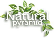 Logo Natural Pyramid